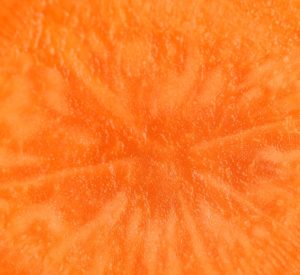 Close Up of a Carrot Cross Section