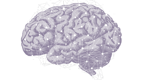 Graphic of a purple brain