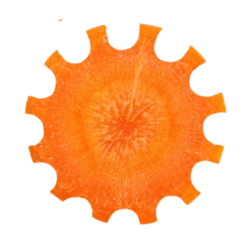 Carrot shaped like a cog