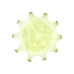 Slice of cucumber shaped like a cog
